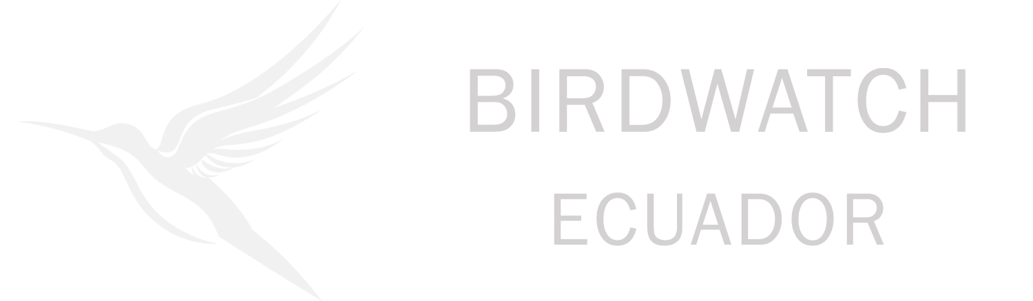 birdwatchecuador.com